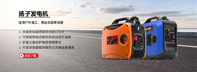 揚(yáng)子發(fā)電機(jī)